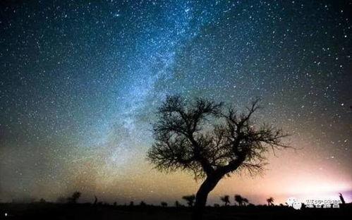 黑龙江夜空爆料最新消息,神秘天象引全民瞩目